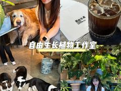 -自由生长植物工作室(深港花卉中心店)