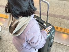 -龙阳路磁悬浮列车总站-停车场