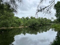 -上海共青森林公园