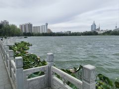 -莲花池公园