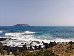 -涉地可支