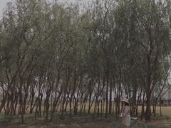 -大理洱海