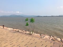 -深圳湾公园(南山区)