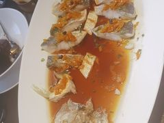 -甄御•海鲜新青岛菜(麦岛店)