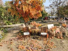 -HERRE·FARM 赫尔露营农场·团建聚会包场