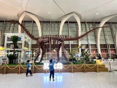 -银川河东国际机场