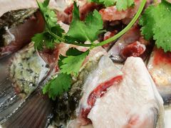 -大嫂镬仔·焖鸡煲·啫啫煲(逢源路店)