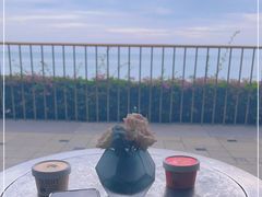 -日落吧·海景咖啡厅·餐酒吧·鸡尾酒·下午茶·乐队表演·浪漫夕阳·三亚文华东方酒店