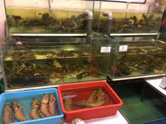 -ZF Seafood Restaurant 卓峰海鲜餐