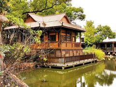 -上海共青森林公园