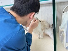 -爱派特动物医院·全科诊疗中心