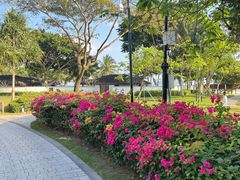 -石梅湾艾美度假酒店