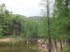 -广州市帽峰山景区