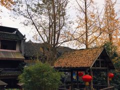 景点-黄龙溪古镇