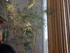 -绿茶餐厅(二七万达店)