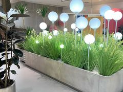 -卡朋西餐(铂顿城店)