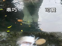 -灵玲国际马戏城