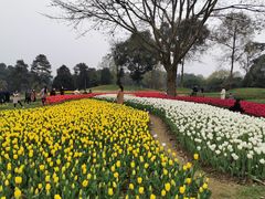 -保利石象湖景区