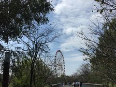 -自然谷恐龙园