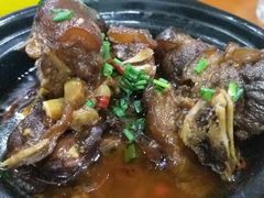 -全乐鱼馆·淳牌有机鱼直营店