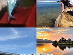 -长春市南湖公园