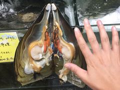 -蚝专家(北滘店)