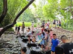 -成都市活水公园