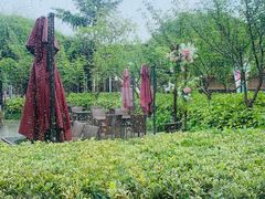 -荷风细雨·中国茶宴(碧云店)