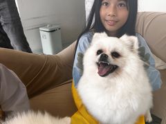 -怪兽屋·羊驼·猫咖·狗咖(俊华广场店)