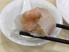 -海晖酒楼·顺德鱼生(荣华店)