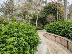 -景田北六街公园宠物主题园