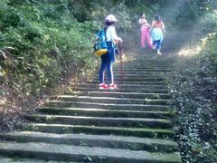 android_upload_pic-大罗山风景区