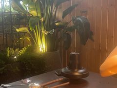 -芸鲜季·云南野生菌餐厅· 云南风物味研社(闵行店)