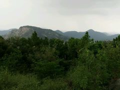 -灵岩山风景区