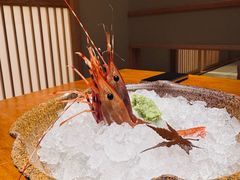 -月龍吟(朝龙汇店)