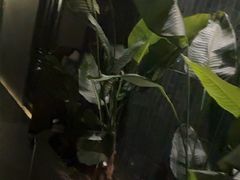 -涟LIAN·泰式按摩·MASSAGE·SPA(华强北店)