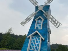 -铁山坪森林公园