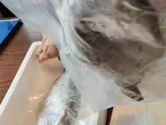 -印象徽州·正宗徽菜体验店