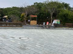 -风云岭森林公园