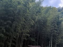 -林坑古村落