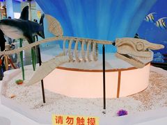 -亚龙湾海底世界