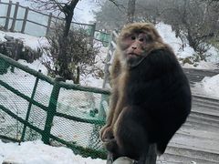 -峨眉山风景名胜区