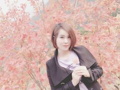 -香山公园-东宫门售票处