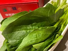 -海底捞火锅(海宁路店)