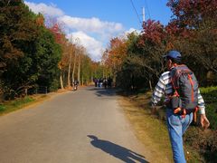 -上海海湾国家森林公园