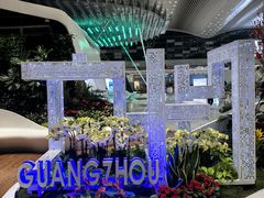 -广州白云国际机场-T2航站楼