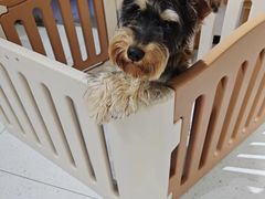 -1013 PET SHOP 宠物商店(近铁城市广场店)