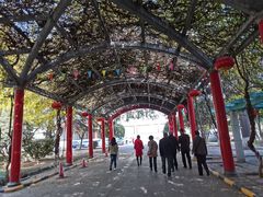 -止园酒店-中餐厅