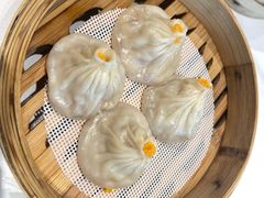 -点都德·毕德寮