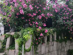 -阿兹凯乐·老洋房西餐